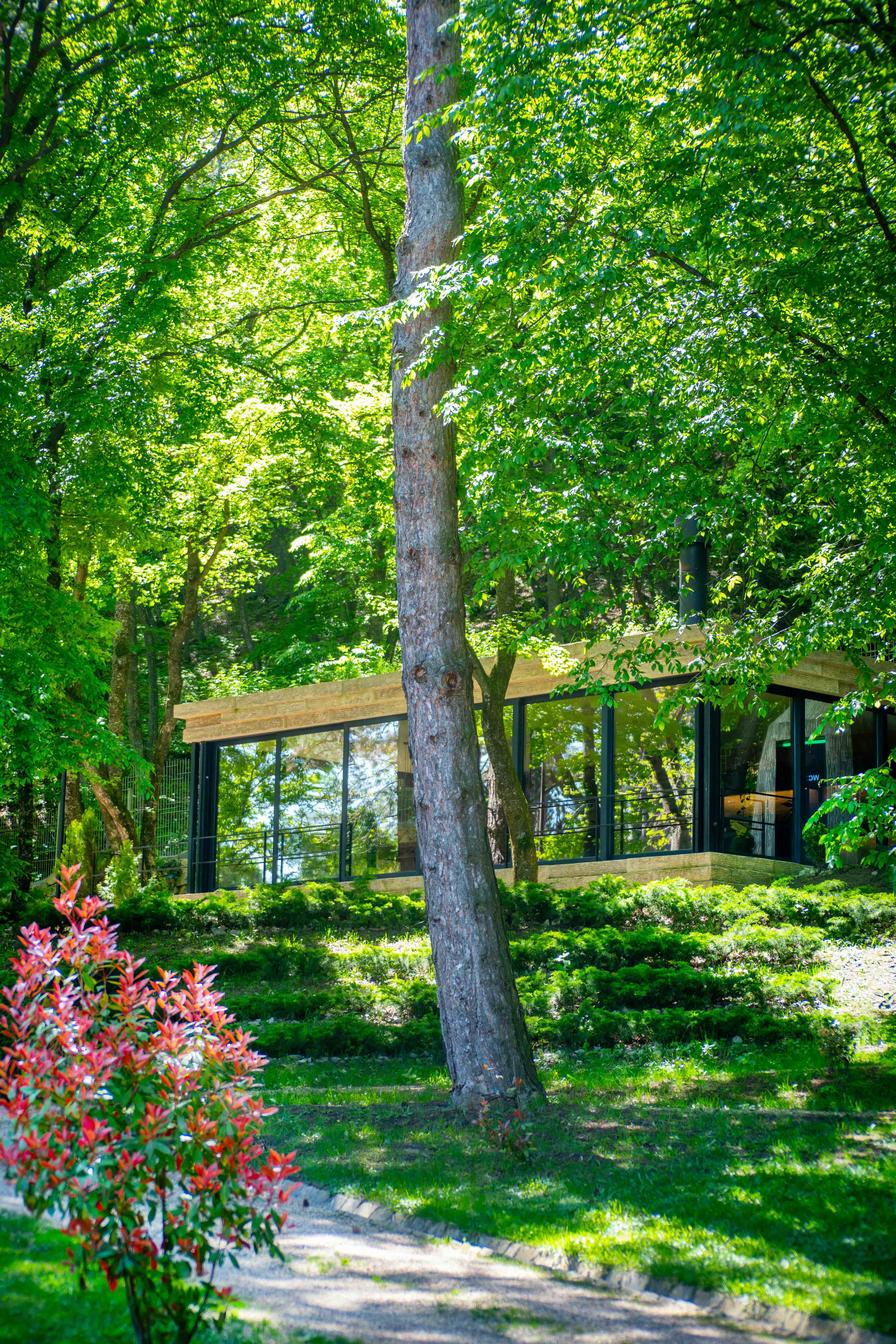 Luxury villa — Race Properties North Goa
